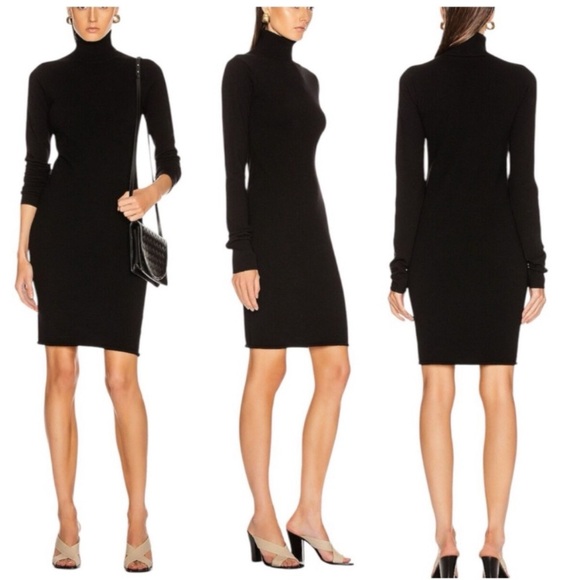 Helmut Lang Merino Wool Turtleneck Sweater Dress Size Small - Picture 1 of 9